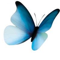 Pompes funèbres Traisnel - Laventie logo - Similar company to Seiven