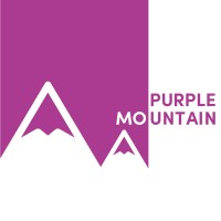 Purple Mountain logo - Similar company to Purple Mountain Technology Group