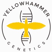 Yellowhammer Genetics LLC logo - Similar company to Heritage Hemp Llc