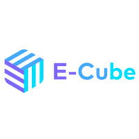 E-Cube logo - Similar company to Salesforce Pathfinder Training Program