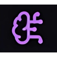 Notekit AI logo - Similar company to Shenzhen Yuanzhao Technology Co., Ltd