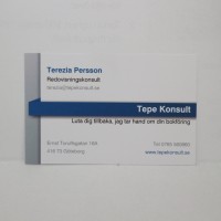 Tepe Konsult Redovisningsbyrå logo - Similar company to Combo Inter Ab
