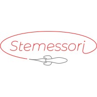 Stemessori logo - Similar company to Manifest Engineering, Inc.