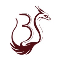 Batura Studios logo - Similar company to Froghouse
