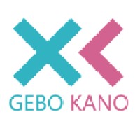Gebo Kano ehf. logo - Similar company to Controlzee