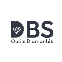 DBS SAS logo - Similar company to Enterprime