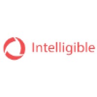Intelligible Solutions logo - Similar company to Seeclear Consulting Services (Pty) Ltd