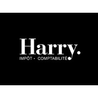 Harry Solutions logo - Similar company to Harry Solutions Ltd