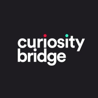 Curiosity Bridge logo - Similar company to Network Delivery Associates Ltd