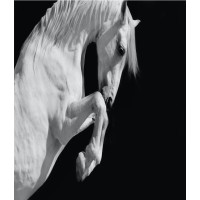 FR Horse Technologies logo - Similar company to Devabundance