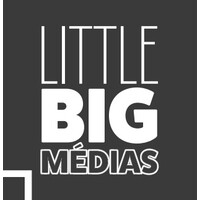 Little Big Médias logo - Similar company to Groupe Msa En Ile-De-France