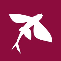 Flutu logo - Similar company to Webcore Games