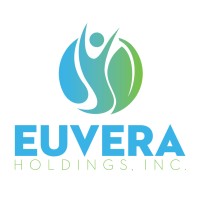Euvera Holdings, Inc. logo - Similar company to Wadhsons