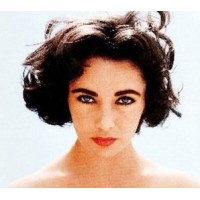 House of Taylor - The Elizabeth Taylor Companies logo - Similar company to Jafra Brasil