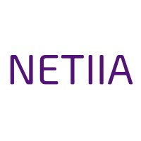 NETIIA logo - Similar company to Red Horizon Technologies