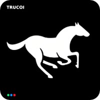 TRUCOI logo - Similar company to Protean Technologies, Llc, Germantown, Md