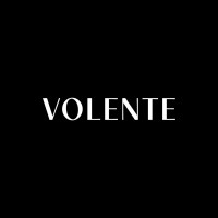 Volente design studio logo - Similar company to Smart Socials
