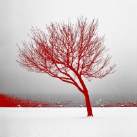 Red Winter