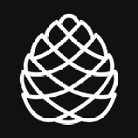 Stone Pine Group inc. logo - Similar company to Cbs Europe