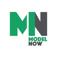 Financial Model Now logo - Similar company to Fmo - Financial Model Online