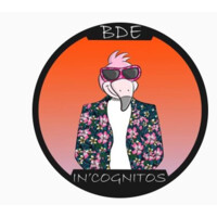 BDE In'Cognitos logo - Similar company to Swiss Accent