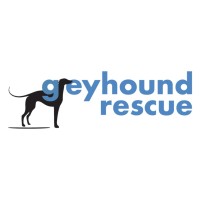 Greyhound Rescue logo - Similar company to Gumtree Greys