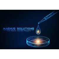 Magnus Solutions- Clean Room Consulting