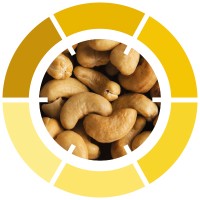NCP Group | Nuts Cleaning & Packaging logo - Similar company to Cargoclima