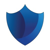 BlueDotte Audit logo - Similar company to Medic On-Site Services