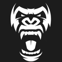 Silverback Services LLC logo - Similar company to Skyblue Construction Inc.