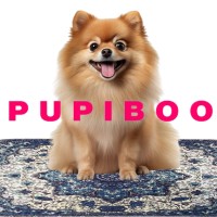 PUPIBOO logo - Similar company to Rdi, Inc.