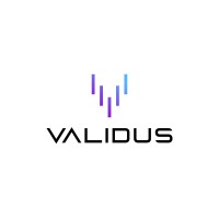 TheValidusWay logo - Similar company to Maxim