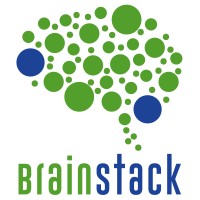 BrainStack logo - Similar company to Alca It Solutions, Inc.