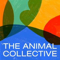 The Animal Collective logo - Similar company to Studio O'Connor