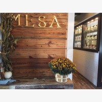 Mesa 21 logo - Similar company to Pinehills Llc