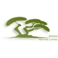 Bonsai Venture Capital SCR logo - Similar company to Blacklibra - Venture Capital & Private Equity