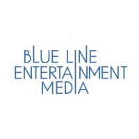 BLEM PVT LTD logo - Similar company to Digiflixtv