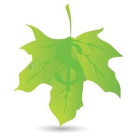 Big Leaf, Inc. logo - Similar company to Bigleaf Networks
