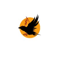 Blackbird Crow Market logo - Similar company to Naveva Pro