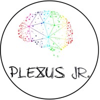 Plexus Jr. logo - Similar company to Atom Jr.- Soluções Em Química