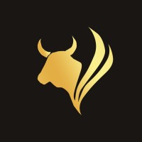 ClassiRaw logo - Similar company to Insighters