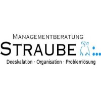Straube Managementberatung logo - Similar company to Cardinal Gmbh