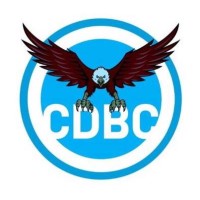 College Democrats of Boston College logo - Similar company to Eagle Institute For Global Affairs And Leadership