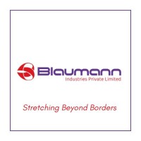 Blaumann Industries Pvt. Ltd. logo - Similar company to Third Law Media Group