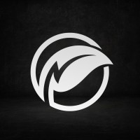 Outgreen Holdings logo - Similar company to Win Way Llc