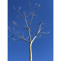 . logo - Similar company to Datapush