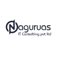 Naguruas IT Consulting Pvt Ltd logo - Similar company to Epm Pixels Pvt. Ltd