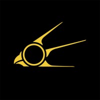 PAVISUS logo - Similar company to Connect Øst