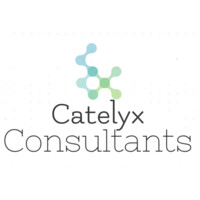 CATELYX CONSULTANTS logo - Similar company to Global Markets Association
