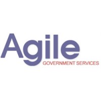 Agile Government Services logo - Similar company to Digital Segment, Llc